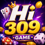 HI309 Game